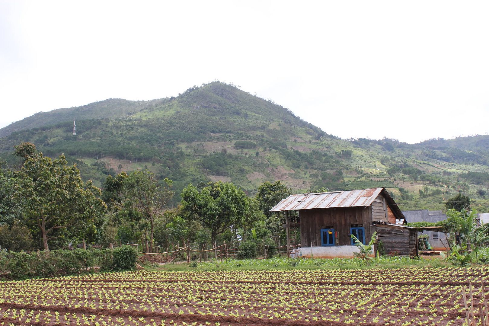 Đi Đà Lạt Về Share Cho Em Coi !!! Đừng Ném Gạch Em :D - 3