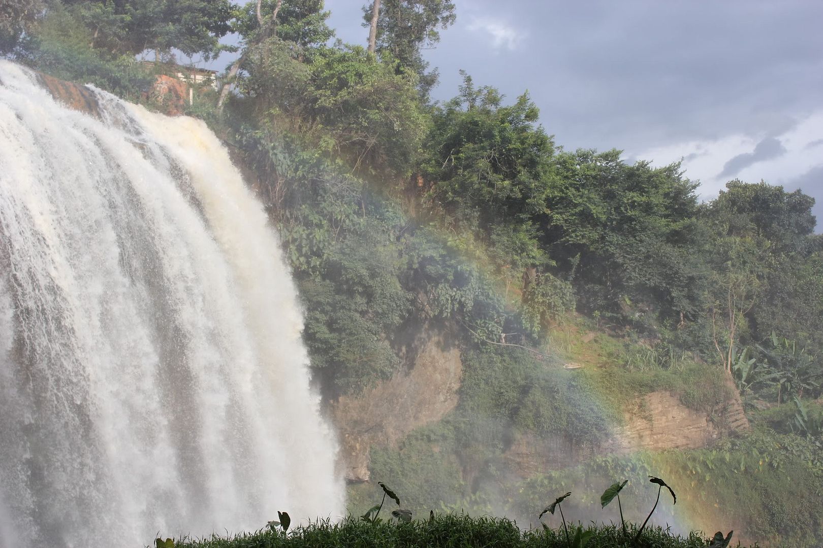 Đi Đà Lạt Về Share Cho Em Coi !!! Đừng Ném Gạch Em :D - 6
