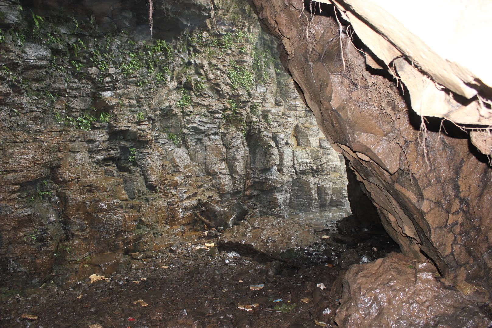 Đi Đà Lạt Về Share Cho Em Coi !!! Đừng Ném Gạch Em :D - 7