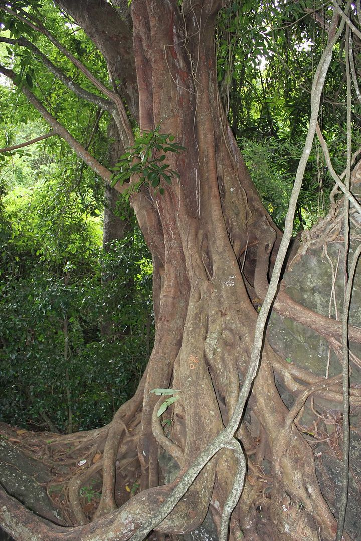 Đi Đà Lạt Về Share Cho Em Coi !!! Đừng Ném Gạch Em :D - 20