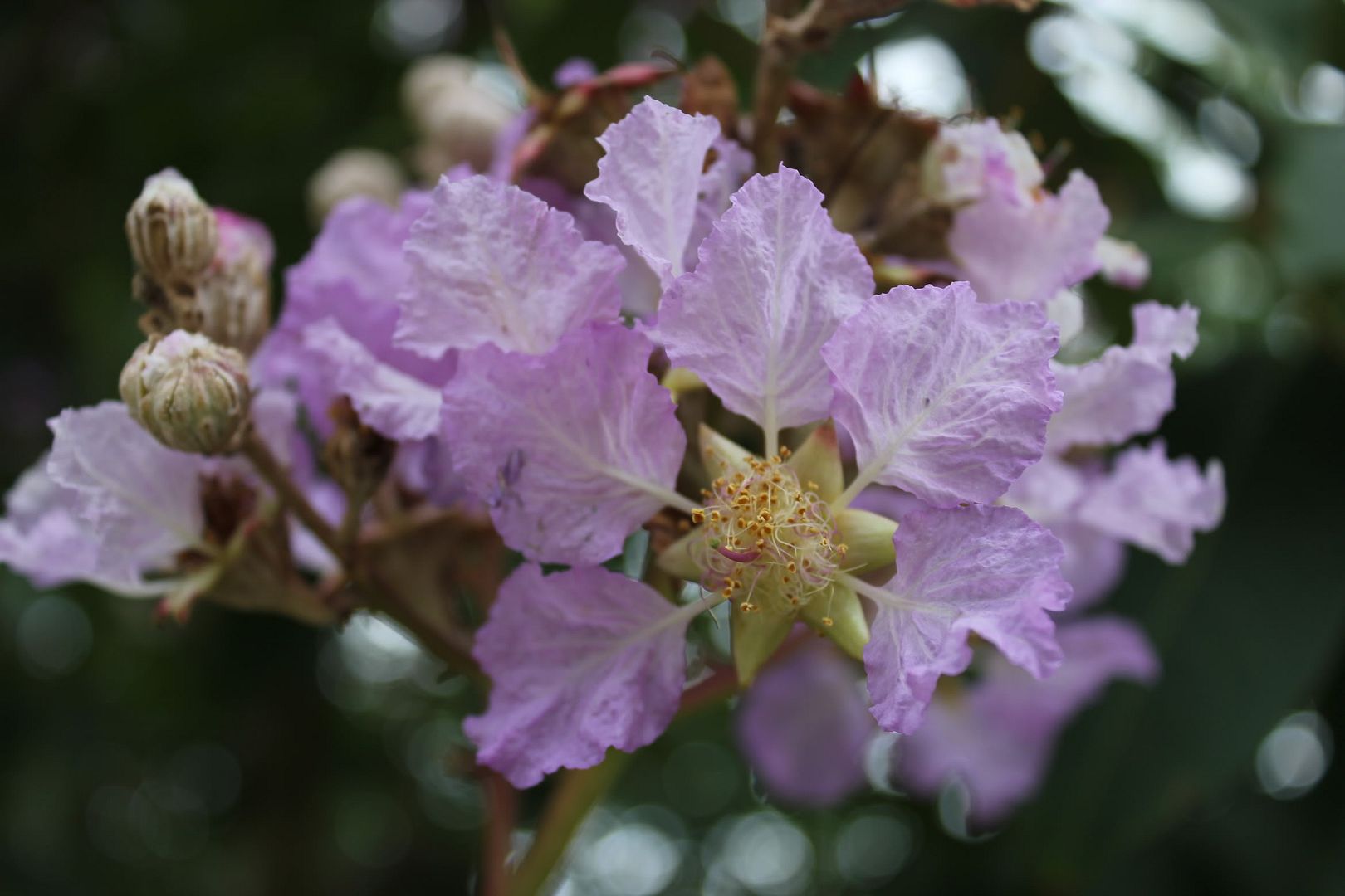 Đi Đà Lạt Về Share Cho Em Coi !!! Đừng Ném Gạch Em :D - 14