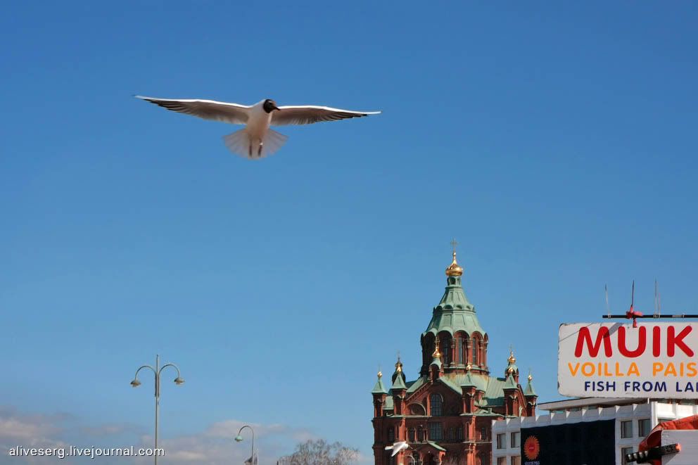 Проездом через Эспланаду, два собора, вокзал и пороги | Helsinki, Finland Photobucket