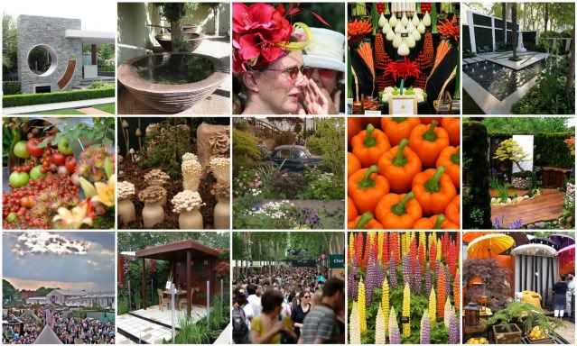Chelsea Flower Show   Day One Daytime Show (18 May 2009) [PDTV (XviD)] preview 0