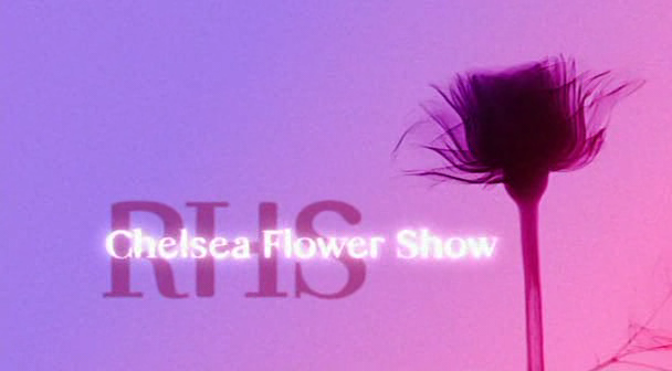 Chelsea Flower Show   Day Two Evening Show (19 May 2009) [PDTV (XviD)] preview 0