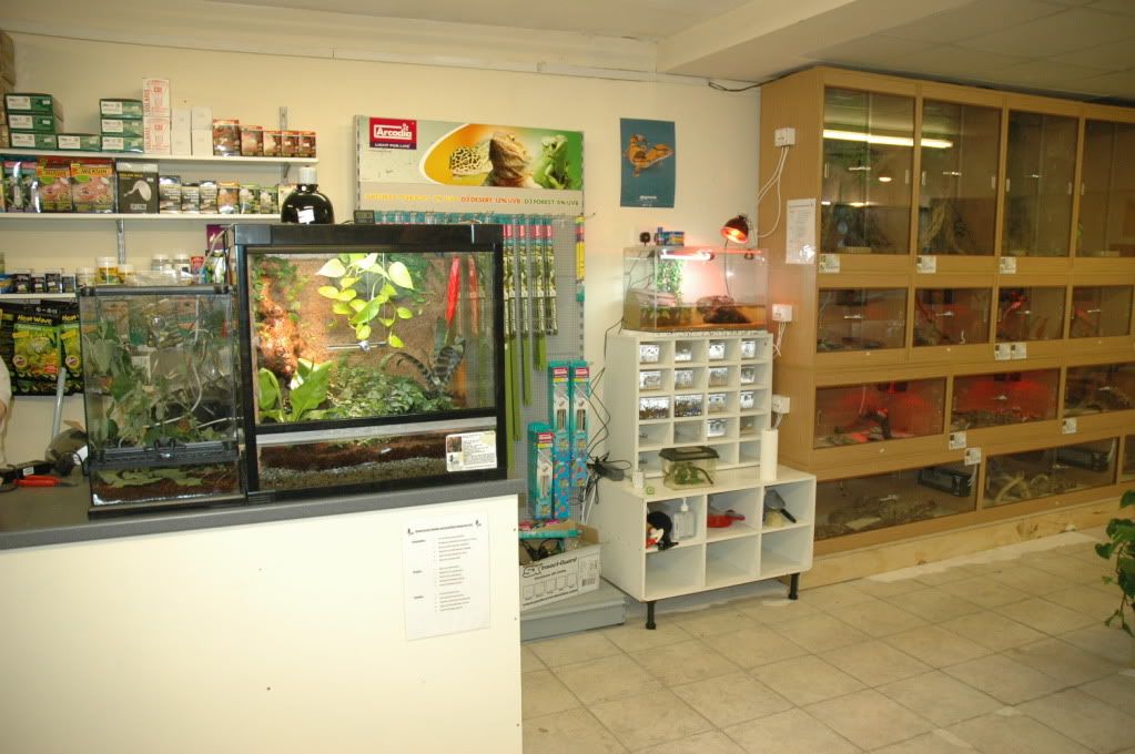 New Reptile Shop Surrey/ Berks Boarder Reptile Forums