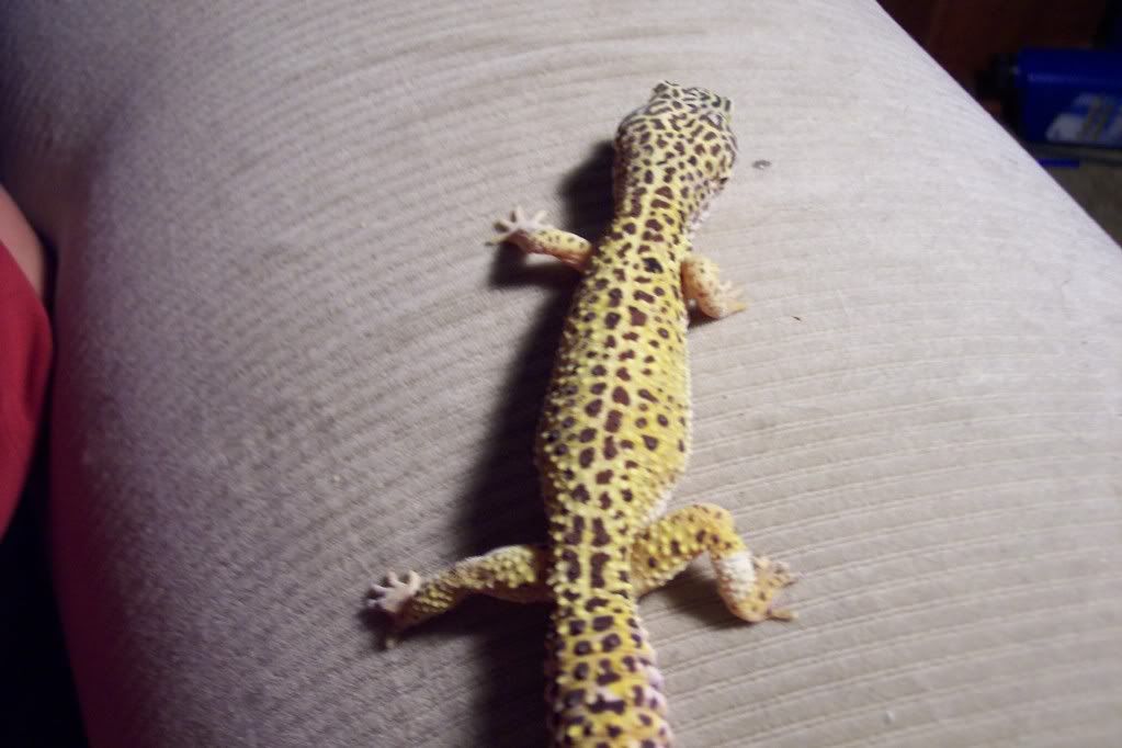 100_5056.jpg