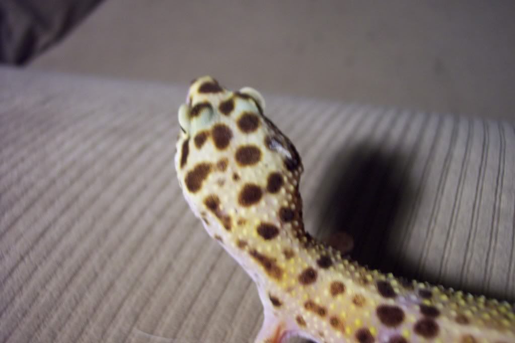 100_5070.jpg
