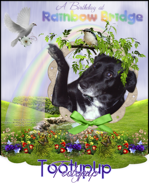 Rainbow Bridge Tooty