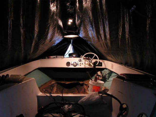 PICT0061.jpg