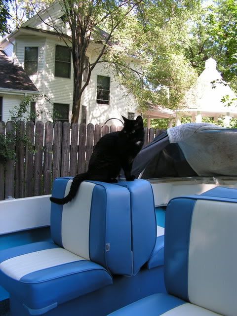 PICT01312.jpg