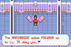 [PokeCommunity.com] Ultimate Solo Challenge