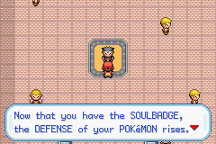 [PokeCommunity.com] Ultimate Solo Challenge