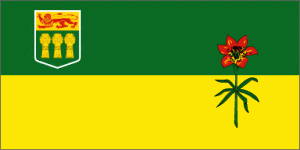 sask flag