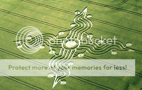 crop circle Pictures, Images and Photos